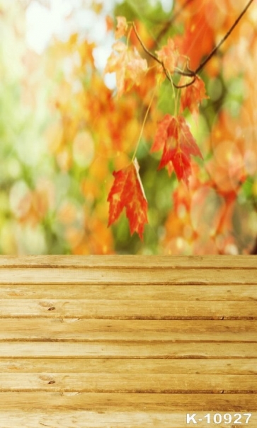 Autumn Fall Red Leaves Background Wood Floor Photo Wall Backdrop