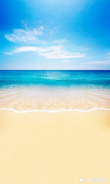 Attractive Fashion Troplcal Beach Scenic Photo Background