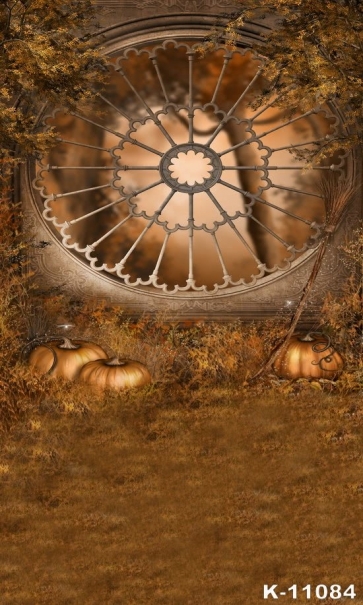 Animated Cartoon Pumpkin Theme Photography Halloween Vinyl Backdrops