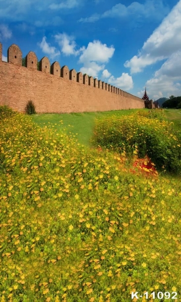 Outside Wall Yellow Wild Flowers Scenic Photo Drop Background