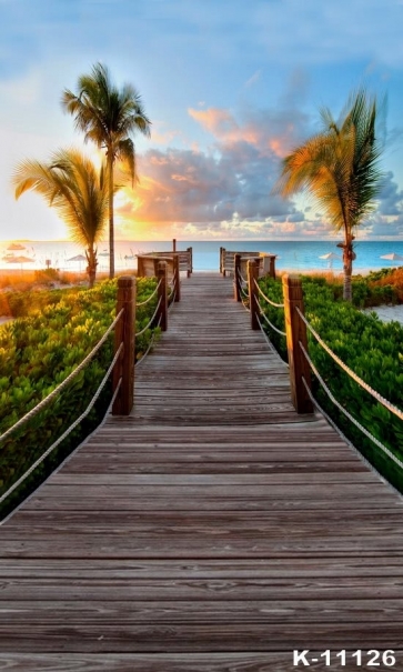 Summer Holiday Seaside Beach Wood Bridge Easy Backdrops for Photography