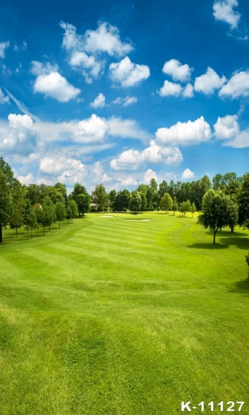 Green Grassland Trees White Clouds Scenic Vinyl Backdrops for Photography