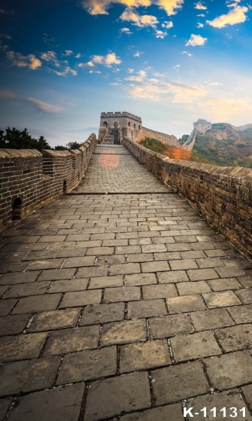 The Great Wall in China Grand Scenic Photo Studio Backdrops