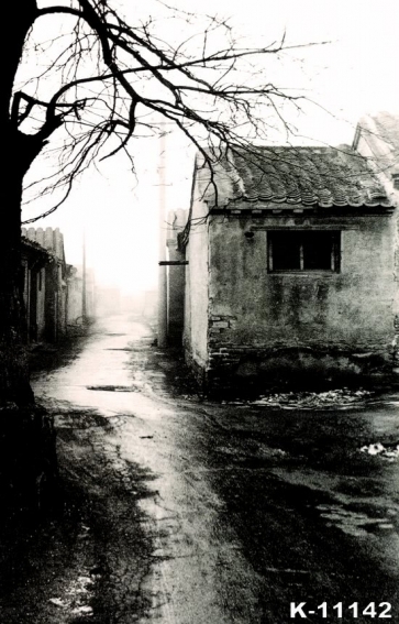 Gloomy Old Aged Mud Tile-roofed House Building Vinyl Photography Backdrops