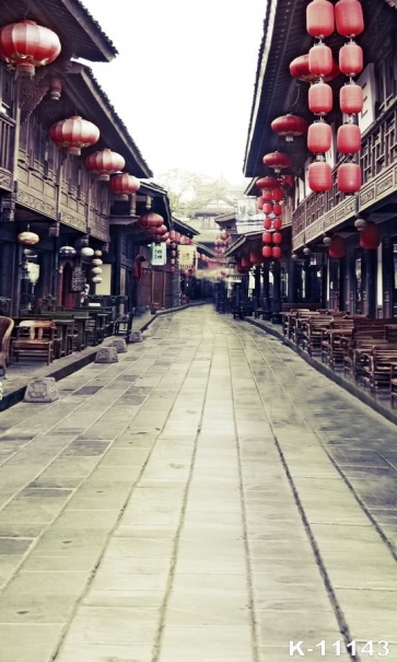 Ancient Building Wood House Street Scenic Vinyl Photography Backdrops