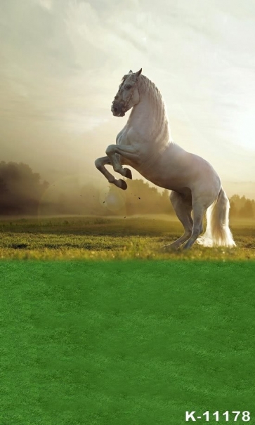 White Horse in Green Grasslands Photography Photo Backdrops