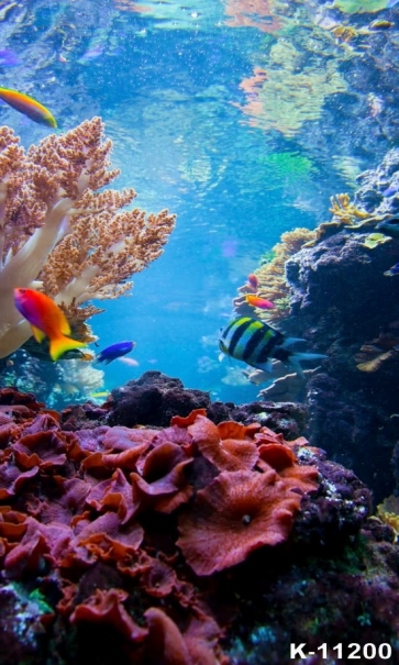Various Tropical Fish Coral Reef Under The Sea Backdrop Underwater Background Decoration Prop