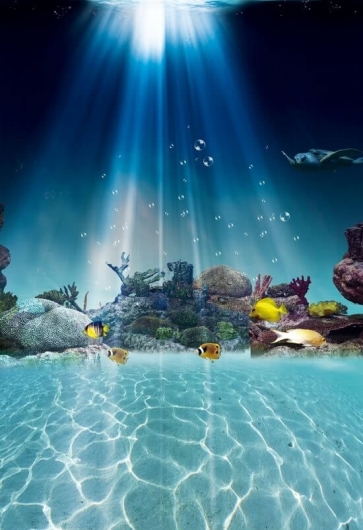Various Tropical Fish Under The Sea Scenic Backdrop Underwater Background Decoration Prop