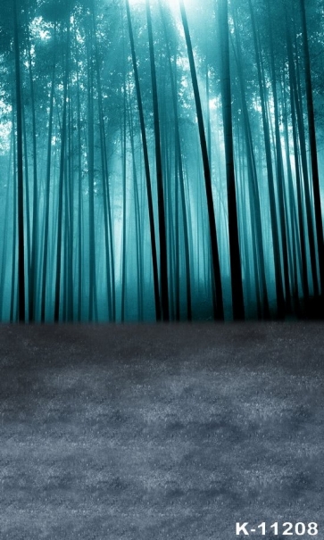 Moonlight Bamboo Forest Scenic Photo Drop Background