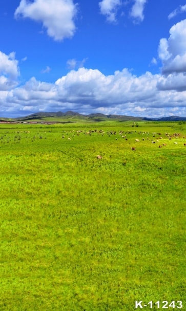 Scenic Green Prairie White Clouds Photography Backgrounds and Props