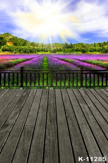 Purple Lavender Flowers Garden Scenic Photography Backdrops
