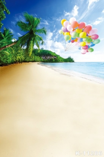  Flying Up Balloon Beach Scenic Backdrop Photoshoot Background