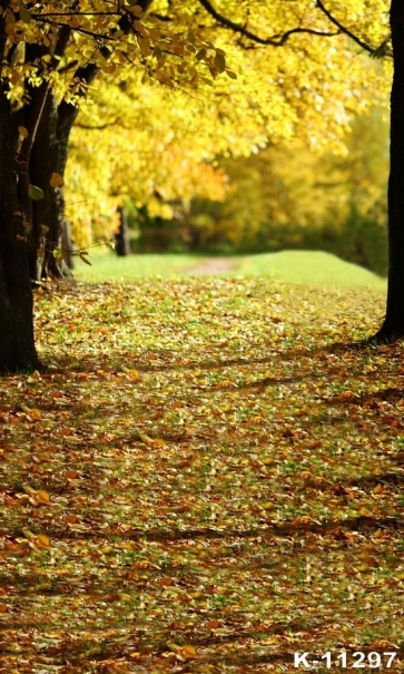 Autumn Fall Garden Park Fallen Leaves Path Scenic Photo Prop Background