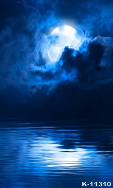Night Moon Clouds Lake Scenic Background Drops for Photography
