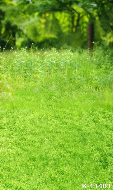 Scenic Green Grassland Rustic Backdrops for Photography