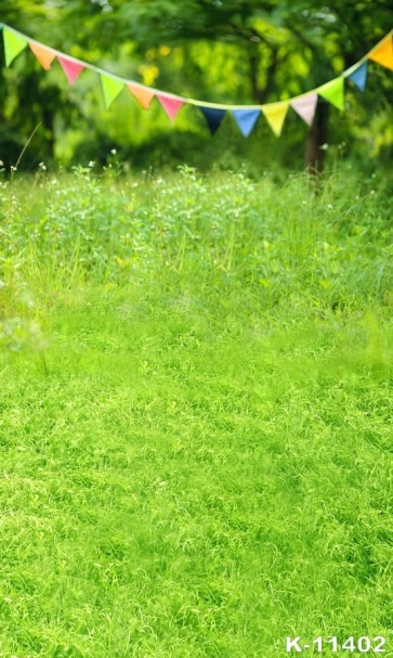 Scenic Green Grassland Colored Flags Rustic Backdrops for Photography