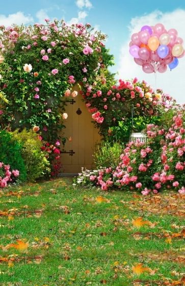 Colorful Balloons Red Roses Flowers Gate Photography Background Props