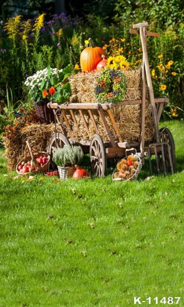 Rustic Farm Pumpkin Fruits Scenic Photography Background Props