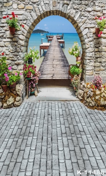 Scenic Stone Wall Wood Road to Sea Backdrops for Photography