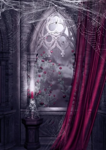 Ruined Spider Web Vintage Medieval Window Halloween Photography Backdrops