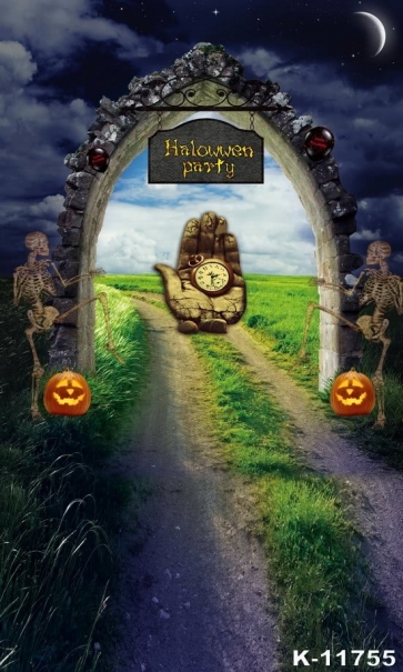 Skull Theme Halloween Party Backdrops And Props