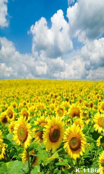 Blue Sky White Clouds Sunflower Photo Booth Backdrop