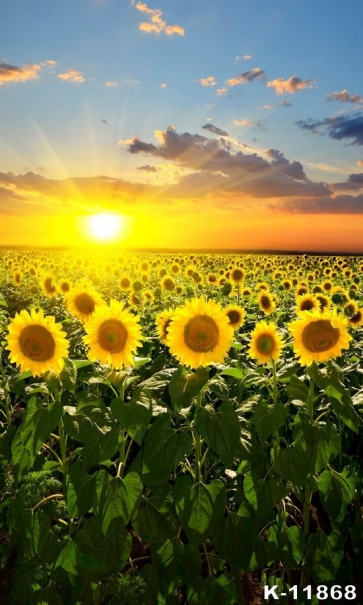 Under The Sun Sunflower Flower Backdrop Decoration
