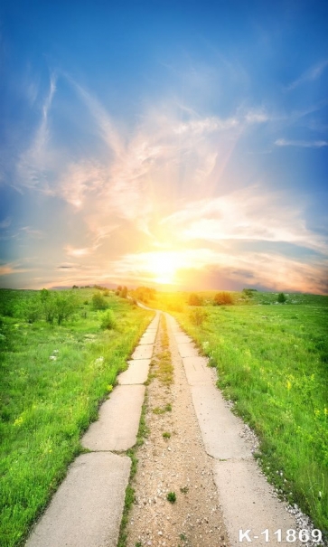 Gold Under The Sun Country Road In The Steppe Wedding Backdrops