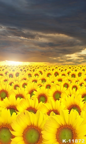 Under The Dark Clouds Diy Sunflower Backdrop Decoration