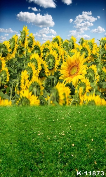 Blue Sky White Clouds Green Meadow Sunflower Photo Booth Backdrop