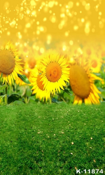 Green Meadow Gold Wall Background Sunflower Birthday Backdrop