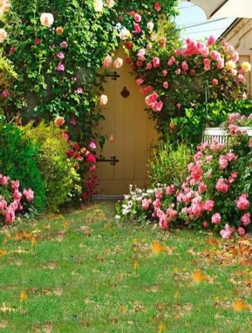 Green Grassland Flowers Garden Backdrop Scenic Background for Photography