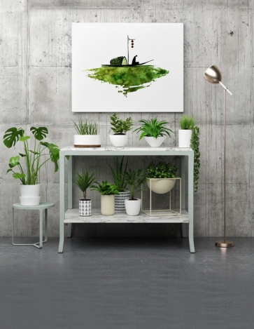 Indoor Plants Design Simple Background for Photography Backdrops