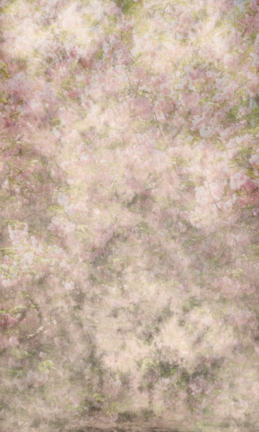 Vintage Cherry Bloom Textured Backdrop Studio Portrait Photography Background Prop