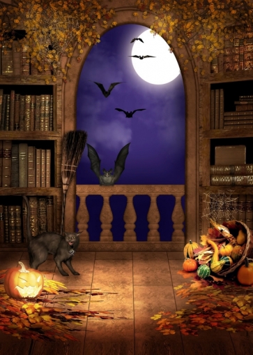 Scare Cats Bats Window Halloween Party Backdrop Prop Studio Photography Background