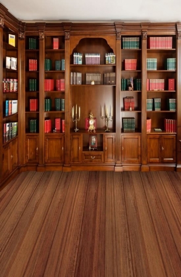 Rustic Virtual Bookcase Library Bookshelf Background Photography Backdrop Decoration Prop