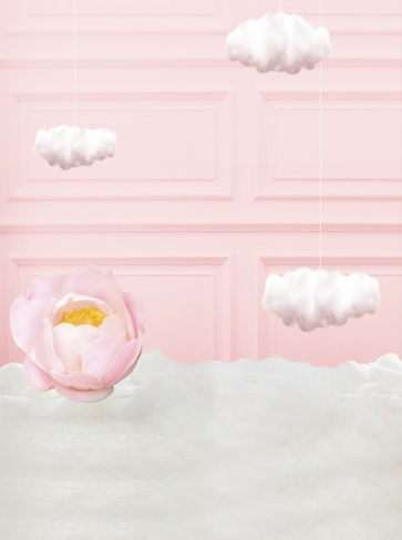 Pink Wall Cloud Newborn Girl And Boy Baby Shower Backdrop Portrait Photography Background