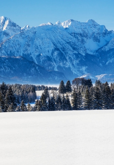 Snow Covered Forest Mountain Backdrop Studio Photography Background