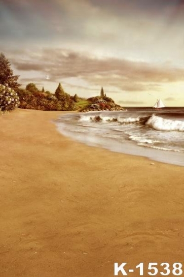 Cloudy Day Sea Waves Yellow Sandy Beach Background Drops for Photography