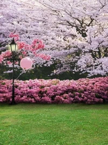 Cherry Blossom Flowers Garden Backdrop Scenic Photo Prop Background