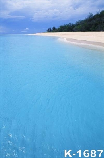 Blue Sky Sea Sandy Beach Summer Holiday Scenic Photography Photo Backdrops