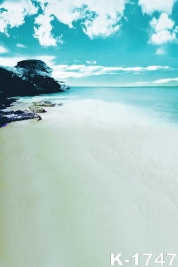 Bluish Green Sky Sea Beach Seaside Picture Backdrops