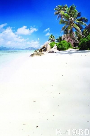 Summer Island Seaside Beach for Holiday Photo Backdrops