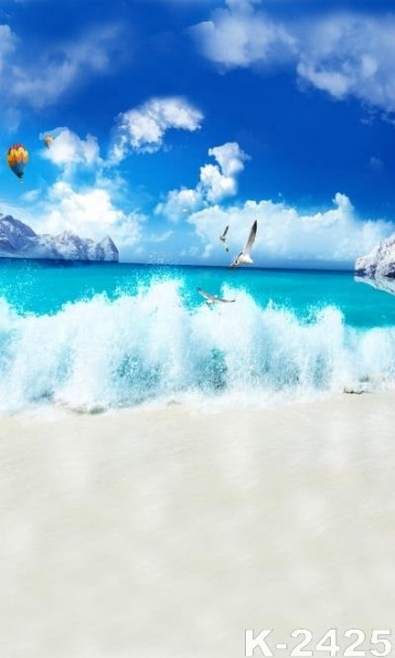 Summer Holiday Seagulls Hot Balloons above Blue Sea Beach Photo Drop Background