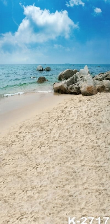 Summer Blue Sky Sea Rocks Beach Backdrop Background for Photography