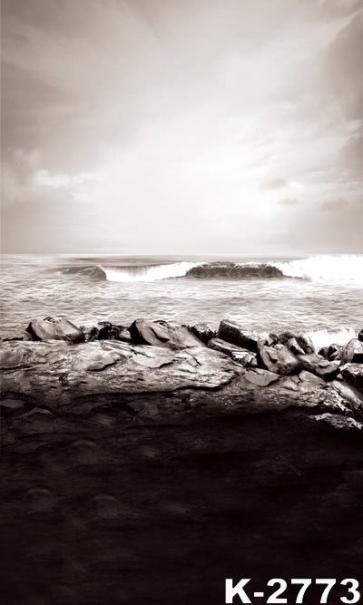 Gloomy Day Sea Waves Beating against Rocks Photography Background Props