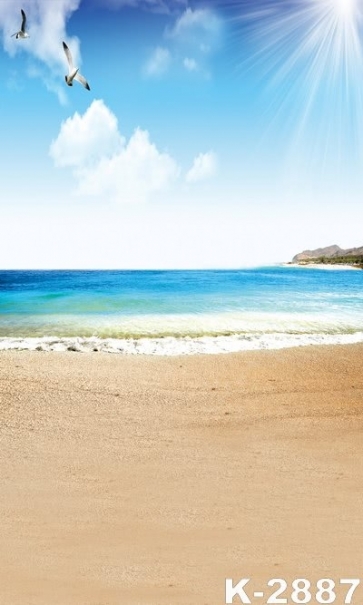 Summer Sunny Day Seagulls Flying over Beach Photo Prop Background