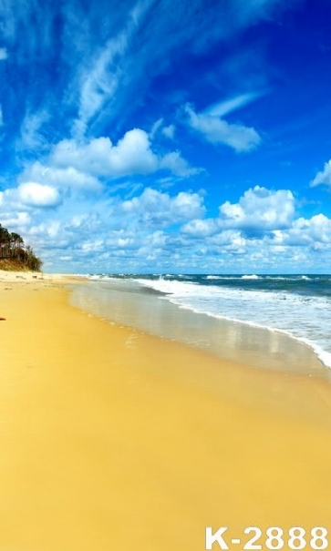 Scenic Yellow Beach Blue Sea Backdrop Background for Photography