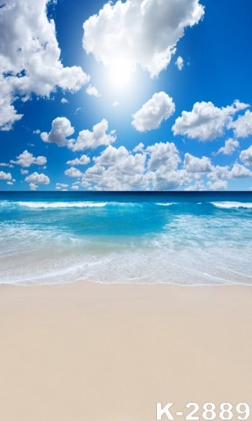 Summer Sunny Day Sea Waves Seaside Beach Photo Drop Background