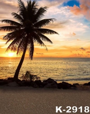 Coconut Tree by Seaside under Sunset Scenic Beach Backdrops